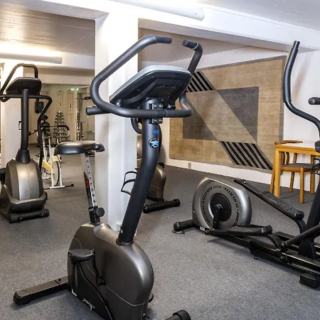 Slotshotellet فندق