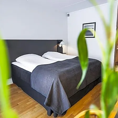 Slotshotellet 4* آلبورغ