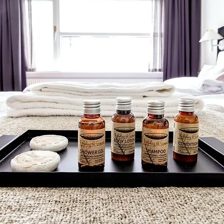 Slotshotellet آلبورغ